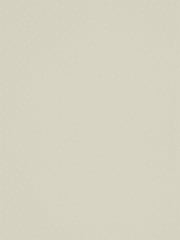 Sanderson Home Natural Dorothy Wallpaper Sample Wallpaper - Image 1 of 1
