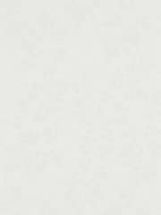 Sanderson Home Grey Spring Leaves Wallpaper Sample Wallpaper - Image 1 of 1