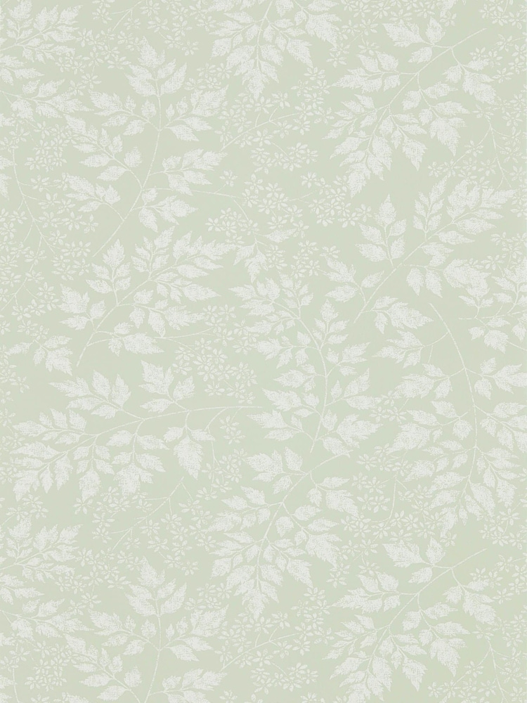 Sanderson Home Green Spring Leaves Wallpaper - Image 1 of 1