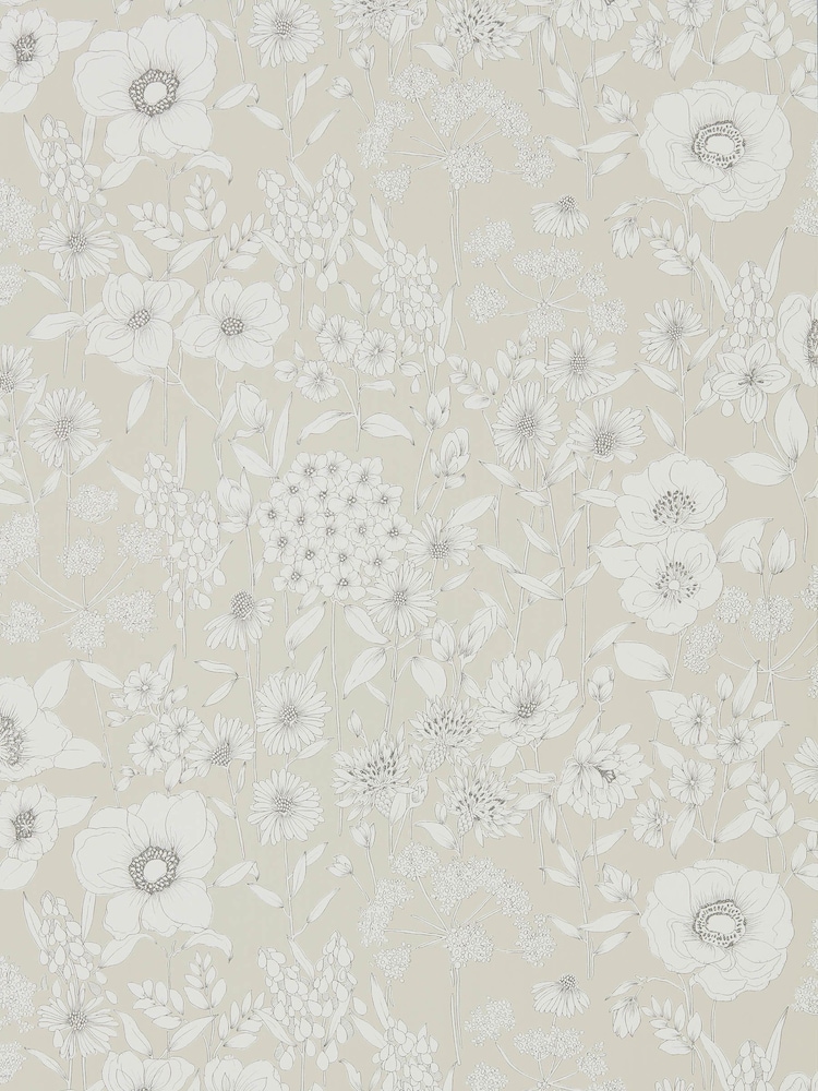 Sanderson Home Natural Maelee Wallpaper - Image 1 of 1