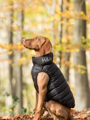 Black Hugo & Hudson Reversible Padded Dog Coat - Image 1 of 4