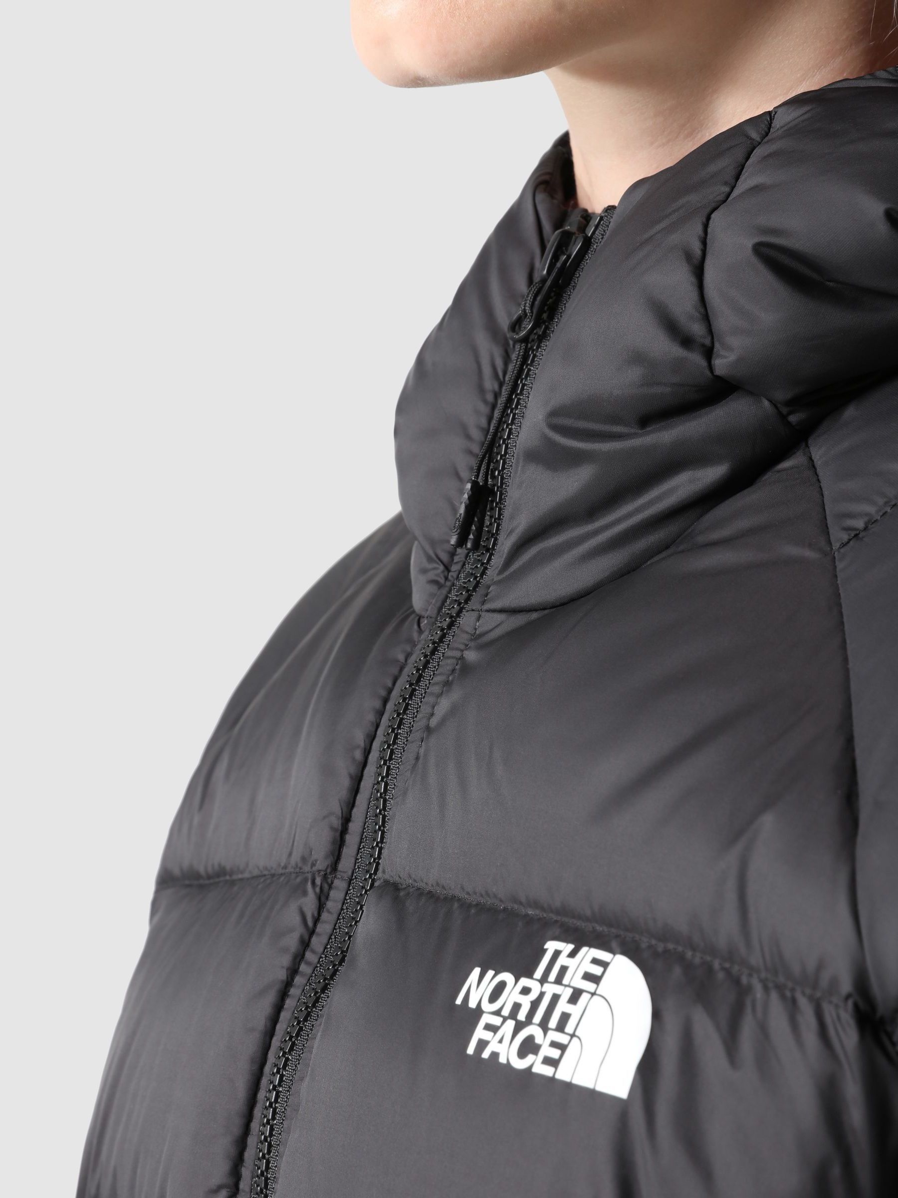 Next north face coat sales