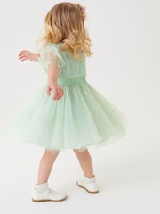 Mint Green Embellished Mesh Collar Dress (3mths-8yrs) - Image 4 of 7