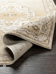 LIVABLISS Brown Fifth Avenue Vintage Traditional Rug - Image 4 of 8