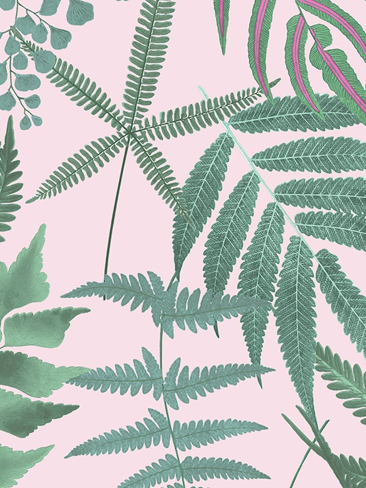 Graham & Brown Blush Pink Midsummer Wallpaper Sample - Image 3 of 3