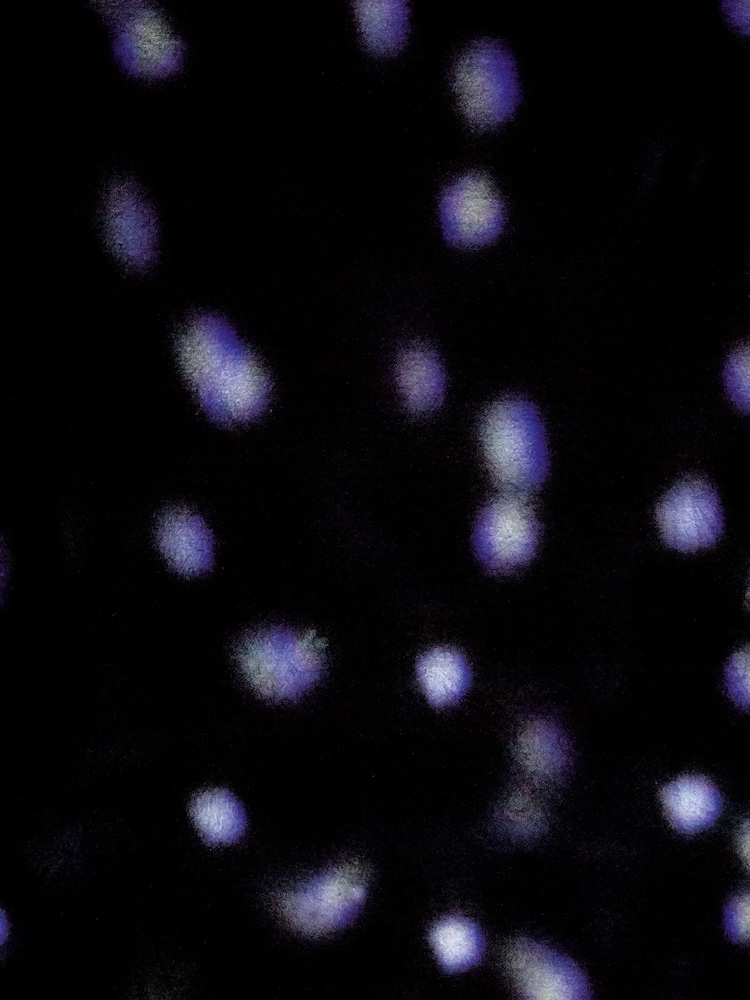 Premier Decorations Ltd Christmas Snowfall Projector - Image 2 of 2