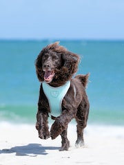 Hugo & Hudson Blue Dog Harness - Image 1 of 4