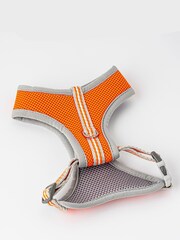 Hugo & Hudson Orange Hugo & Hudson Orange Mesh Dog Harness - Image 3 of 4