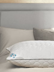 Sealy Deeply Full 100% Cotton Pillow - Image 1 of 9