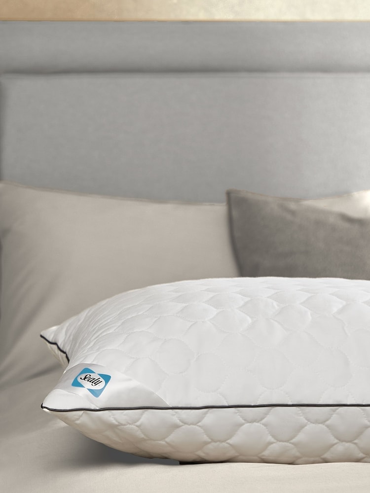 Sealy Deeply Full 100% Cotton Pillow - Image 1 of 9