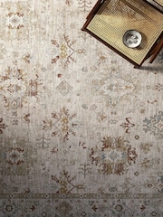 LIVABLISS Beige Avant Garde Vintage Traditional Rug - Image 2 of 7