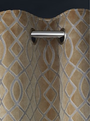 Champagne Natural Next Collection Luxe Heavyweight Maeve Damask Velvet Eyelet Lined Curtains - Image 1 of 6