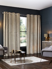 Champagne Natural Next Collection Luxe Heavyweight Maeve Damask Velvet Eyelet Lined Curtains - Image 3 of 6