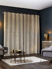 Champagne Natural Next Collection Luxe Heavyweight Maeve Damask Velvet Eyelet Lined Curtains - Image 4 of 6