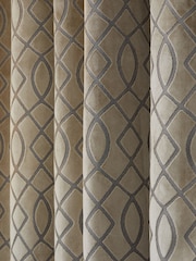 Champagne Natural Next Collection Luxe Heavyweight Maeve Damask Velvet Eyelet Lined Curtains - Image 5 of 6