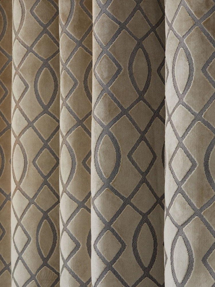 Champagne Natural Next Collection Luxe Heavyweight Maeve Damask Velvet Eyelet Lined Curtains - Image 5 of 6