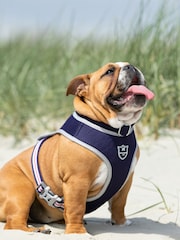 Hugo & Hudson Navy Mesh Dog Collar - Image 1 of 4