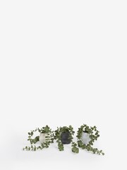 Set of 3 Mini Artificial Trailing Plants in Concrete Effect Pots - Slika 3 iz 5