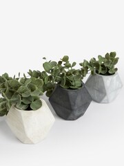 Set of 3 Mini Artificial Trailing Plants in Concrete Effect Pots - Slika 5 iz 5