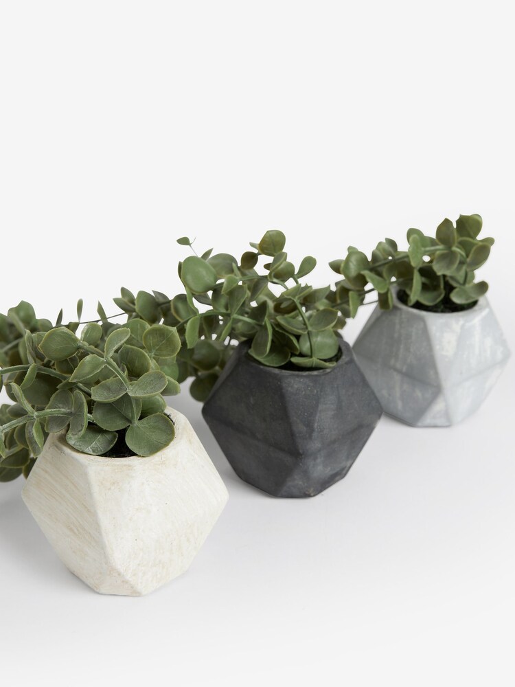 Set of 3 Mini Artificial Trailing Plants in Concrete Effect Pots - Slika 5 iz 5