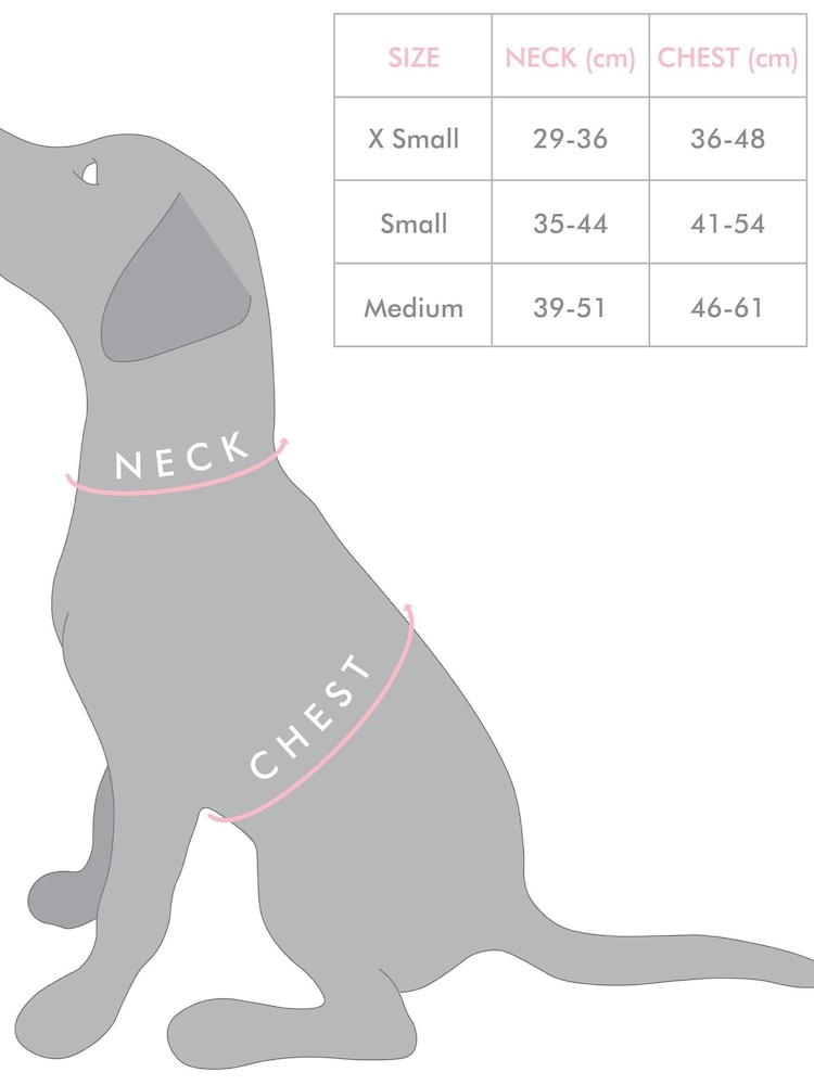 Oliver Bonas Blue Spotty Print Pet Harness - Image 4 of 4