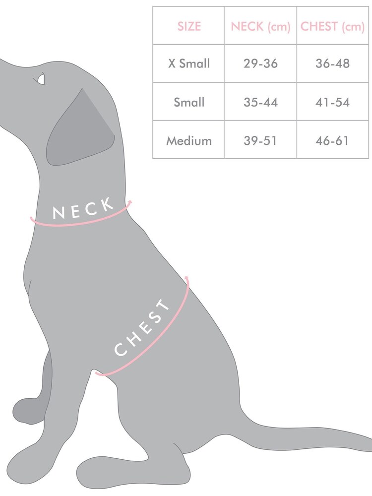 Oliver Bonas Blue Spotty Print Pet Harness - Image 4 of 4 Oliver Bonas Blue Spotty Print Pet Harness - Image 4 of 4