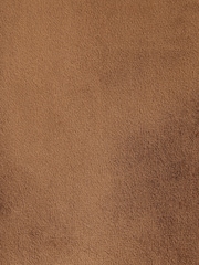 Bronze Slim Velvet Blazer - Image 8 of 12