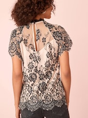 Neutral/Black Short Sleeve Lace Top - Image 2 of 4