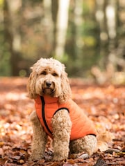 Hugo & Hudson Dark Green and Grey Reversible Dog Puffer Jacket - Image 1 of 4