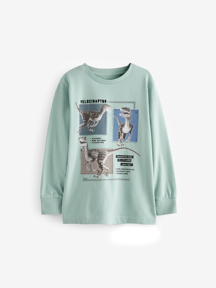 Dinosaures minéraux - Lot de 3 t-shirts à manches longues (3-14 ans) - Image 2 de 6