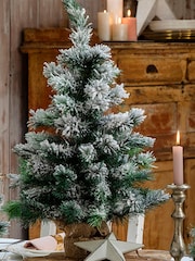 Everlands Green Pre-Lit LED Imperial Mini Snowy 3ft Potted Christmas Tree - Image 1 of 2