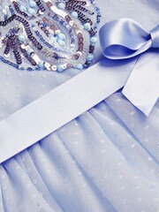 Robe Ornée Monsoon Luna Truth bleue - Image 3 of 3