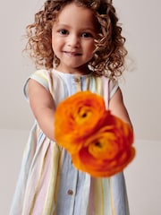 Rainbow Stripe Button Through Summer Dress (3mths-8yrs) - Image 4 of 7