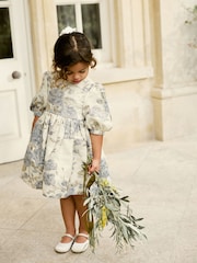 Gold/Silver Grey Floral Jacquard Prom Dress (12mths-10yrs) - Image 1 of 8