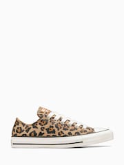 Converse Black Chuck Taylor All Star Ox Leopard Animal Print Low Top Trainers - Image 1 of 9