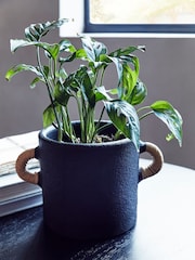 French Connection Black Small Terracotta Plant Pot - Image 1 of 3