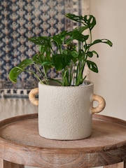 French Connection Natural Small Terracotta Plant Pot - Image 1 of 3
