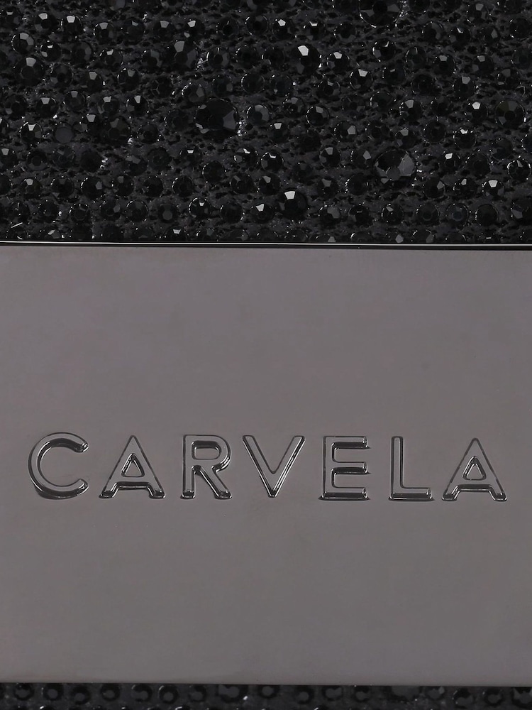 Carvela Bee Mini Xbody Bag - Image 5 of 5
