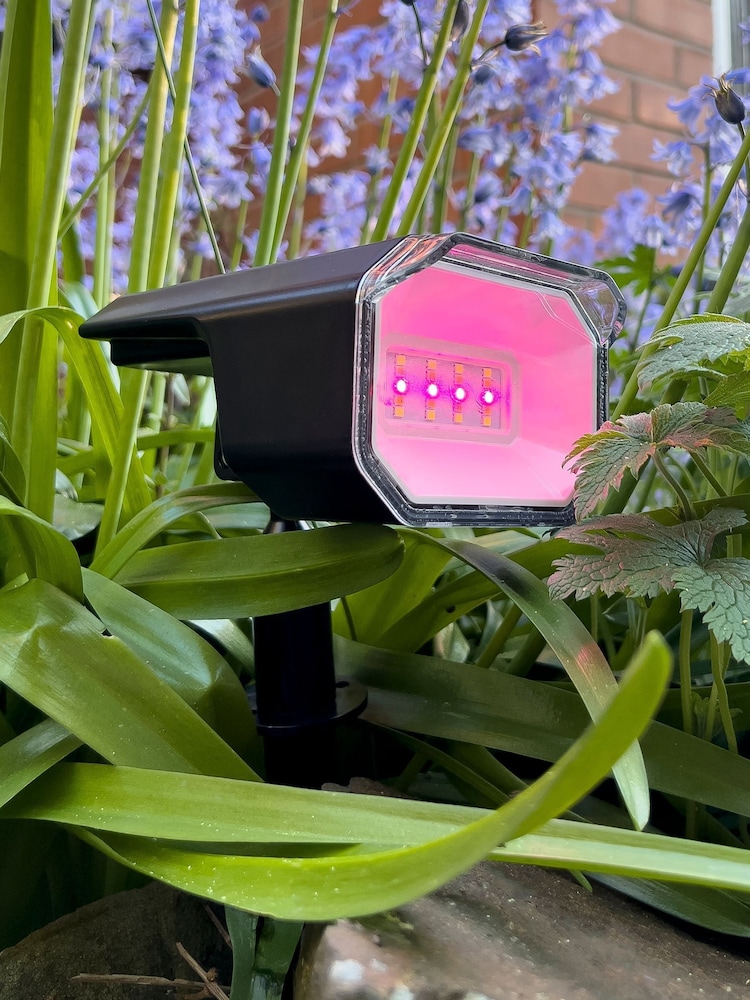 BHS Black Byermoor Solar LED Smart Garden Outdoor Light - Image 2 of 6