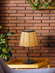 Searchlight Black Dittany Solar Lamp - Image 1 of 4