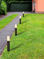 Searchlight Black Pasque Solar Stake Lights - Image 1 of 4