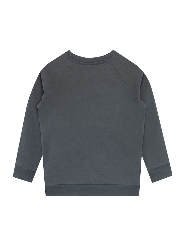 Character Grey Playstation Sweatshirt - Image 2 of 4