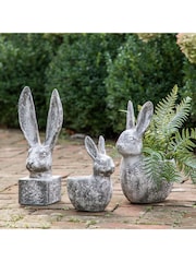 Gallery Home White Small Harry Hare Distressed Ornaments Sculpture - Image 1 of 6