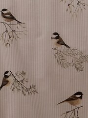 Dreams & Drapes Natural Chickadees Brushed 100% Cotton Duvet Cover Set - Image 3 of 3