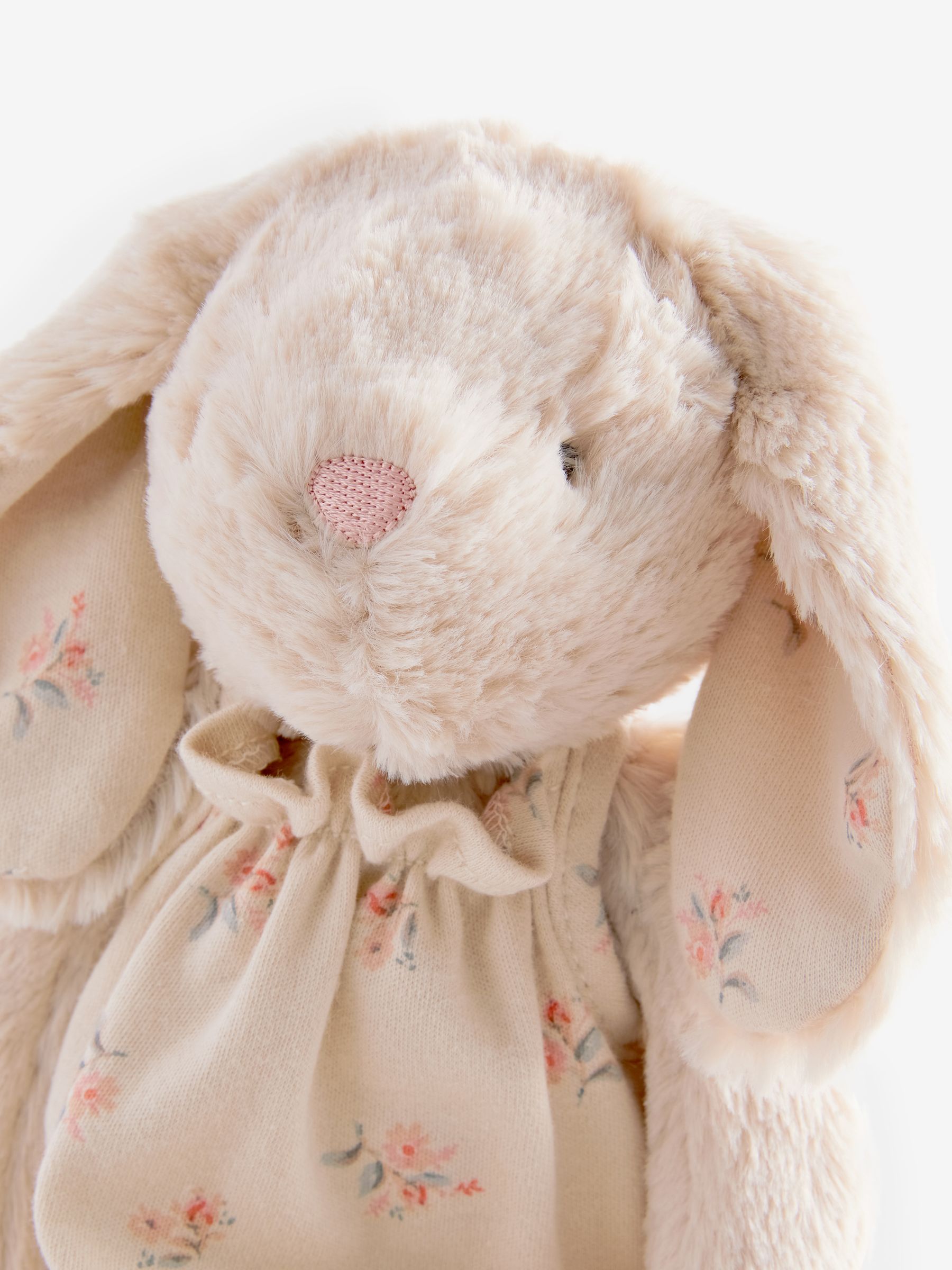 Next bunny teddy shop