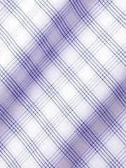 Charles Tyrwhitt Blue White Check Non-iron Poplin CA Slim Fit 100% Cotton Shirt - Image 6 of 6