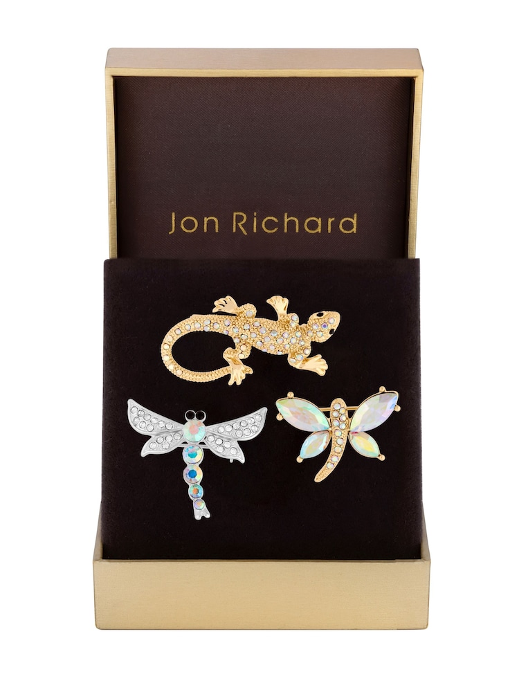 Jon Richard Black Gift Boxed Insect Brooches 3 Pack - Image 1 of 3
