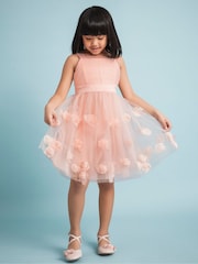 Monsoon Pink Serenata Rode 3D Dress - Image 1 of 3