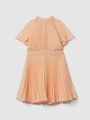 Reiss Apricot Verity Senior Pleated Cape Sleeve Dress - Image 2 of 4