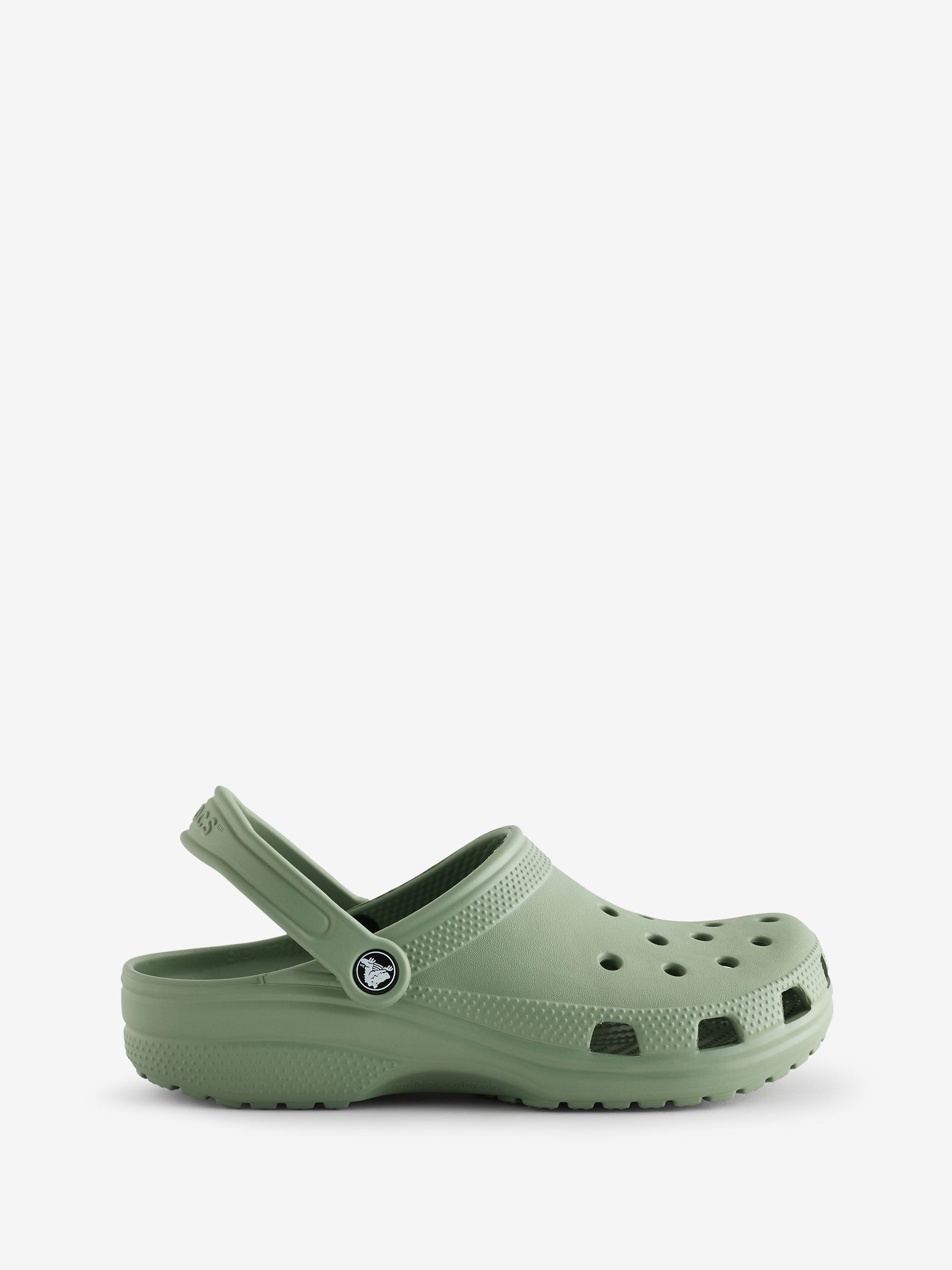 Buy Crocs Light Green Adults Classic Clogs from Next Canada